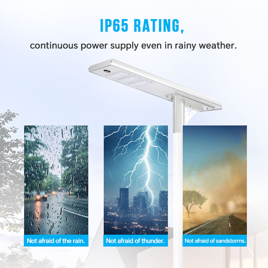 Solar Street Light