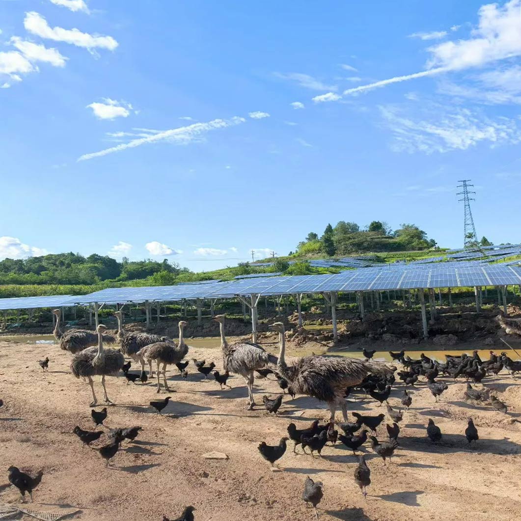 Future Green Powers impulsa la transición energética en la granja 